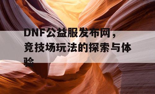 DNF公益服发布网，竞技场玩法的探索与体验