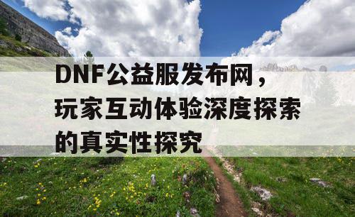 DNF公益服发布网，玩家互动体验深度探索的真实性探究