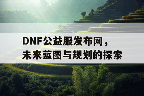 DNF公益服发布网，未来蓝图与规划的探索