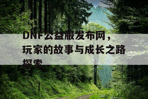 DNF公益服发布网	，玩家的故事与成长之路探索