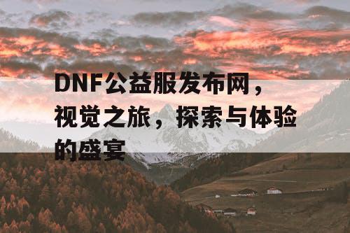 DNF公益服发布网，视觉之旅	，探索与体验的盛宴