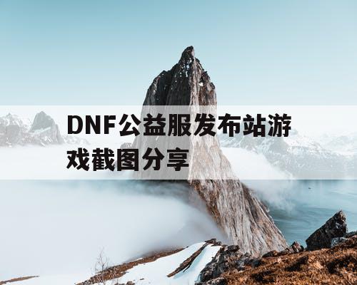 DNF公益服发布站游戏截图分享