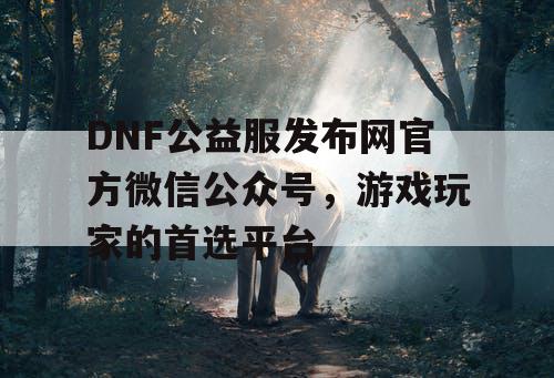 DNF公益服发布网官方微信公众号，游戏玩家的首选平台