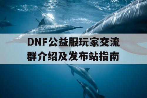 DNF公益服玩家交流群介绍及发布站指南