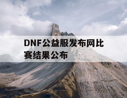 DNF公益服发布网比赛结果公布