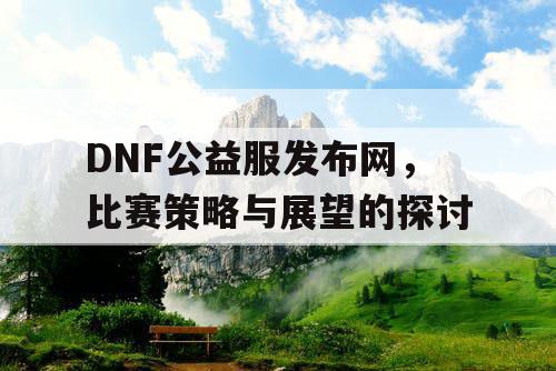 DNF公益服发布网，比赛策略与展望的探讨