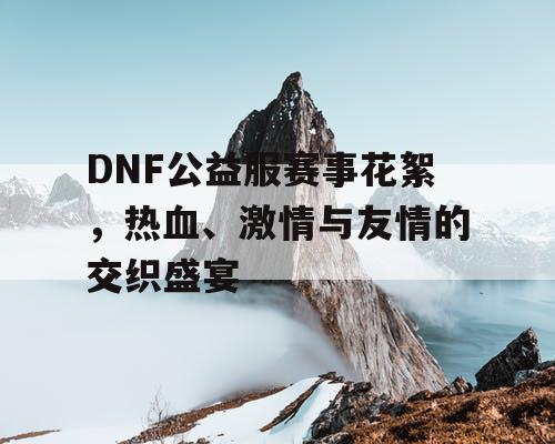 DNF公益服赛事花絮，热血	、激情与友情的交织盛宴