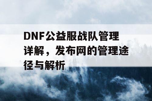 DNF公益服战队管理详解	，发布网的管理途径与解析