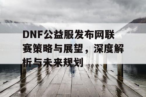 DNF公益服发布网联赛策略与展望	，深度解析与未来规划