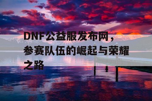 DNF公益服发布网	，参赛队伍的崛起与荣耀之路