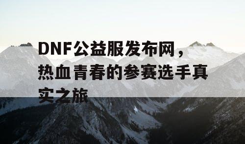 DNF公益服发布网，热血青春的参赛选手真实之旅