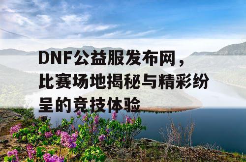 DNF公益服发布网，比赛场地揭秘与精彩纷呈的竞技体验