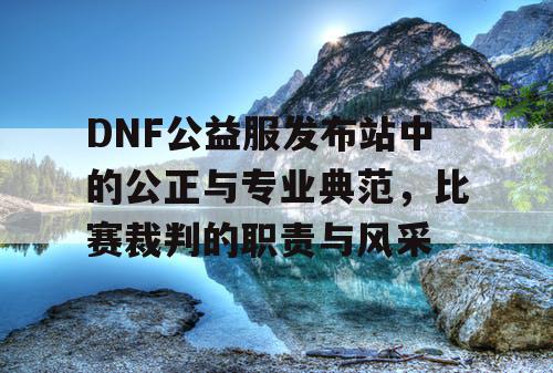 DNF公益服发布站中的公正与专业典范，比赛裁判的职责与风采