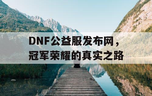 DNF公益服发布网	，冠军荣耀的真实之路