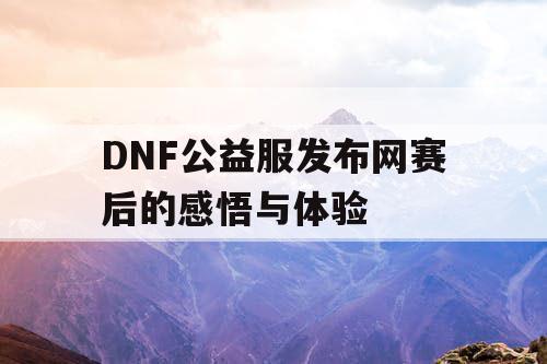 DNF公益服发布网赛后的感悟与体验