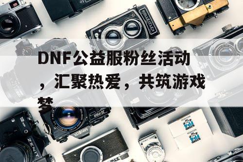 DNF公益服粉丝活动，汇聚热爱	，共筑游戏梦