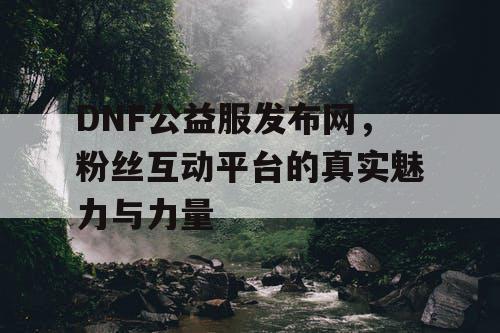 DNF公益服发布网，粉丝互动平台的真实魅力与力量